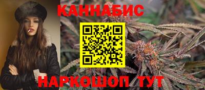 сатива Владимир