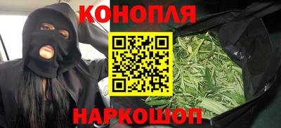 крисы Вязьма