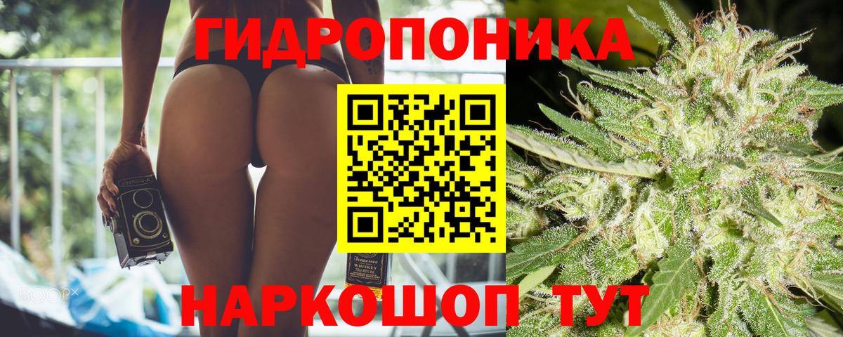 Марихуана план  Канабис планчик  МАРИХУАНА White Widow  Котлас  Марихуана план  Вход с VPN 